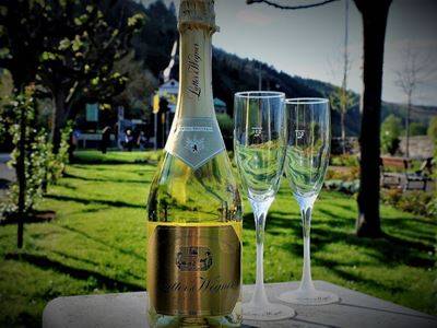 1 Flasche Hausmarke Sekt